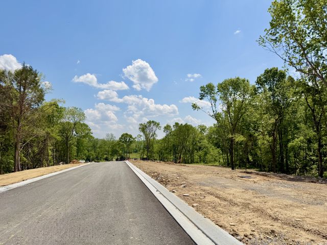 1501 St Charles Drive, Arrington, TN 37014