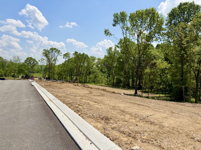 1501 St Charles Drive, Arrington, TN 37014