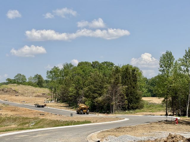 1501 St Charles Drive, Arrington, TN 37014