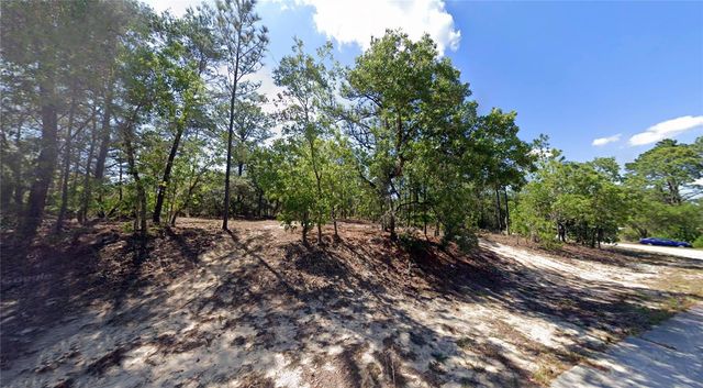 2551 W SHEILA DRIVE, Citrus Springs, FL 34433