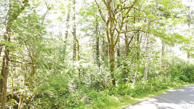 0 E Geist Point Rd Road, Shelton, WA 98584
