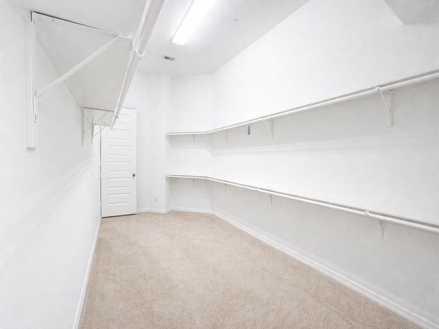 10407 Roseate Skimmer, Conroe, TX 77385