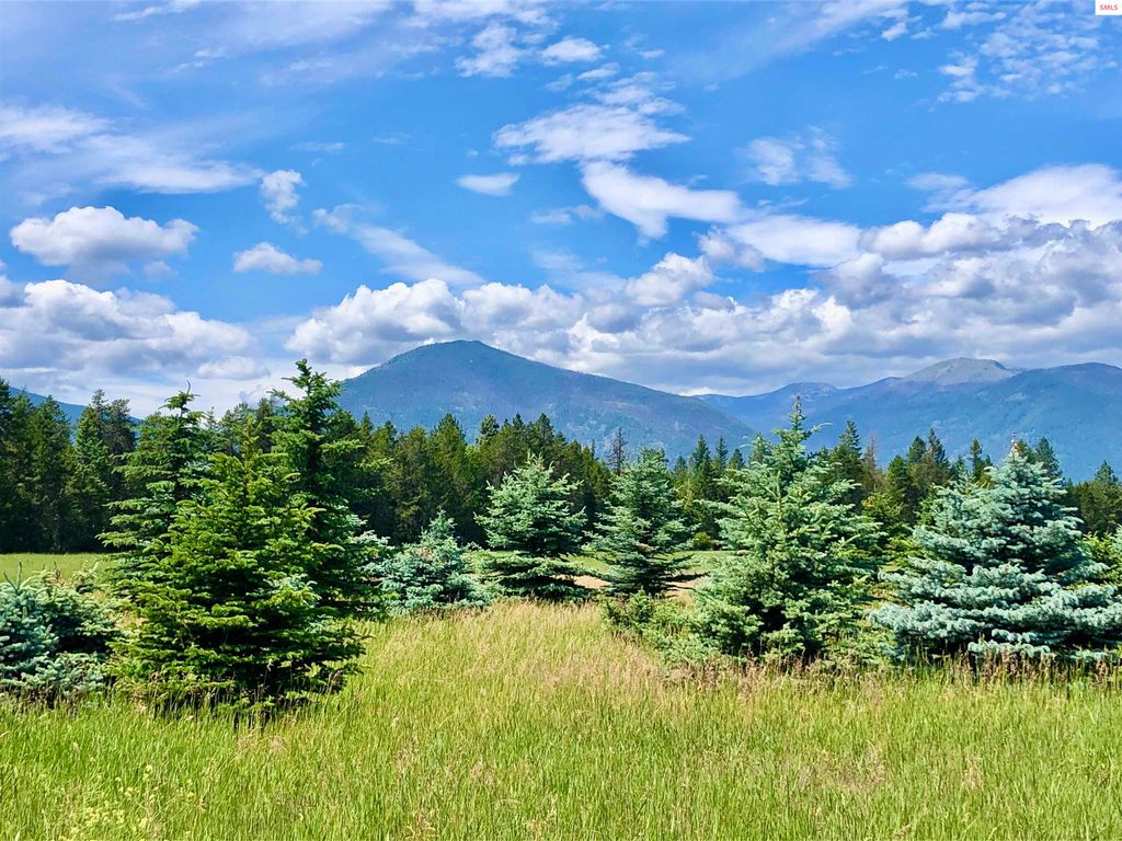 Tract 2 Juneberry Lane, Bonners Ferry, ID 83805 photo 4
