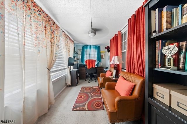 217 Sheridan Ave, Roselle Park Boro, NJ 07204