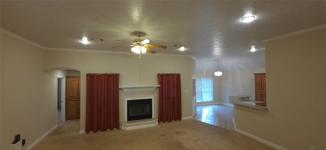 215 Bridgeview Drive, Onalaska, TX 77360