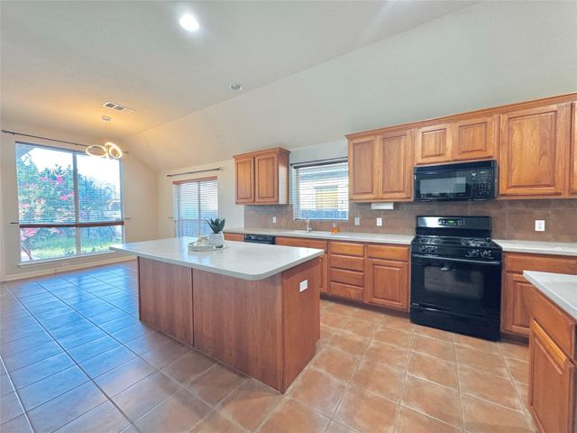 13809 Field Spar DR, Manor, TX 78653
