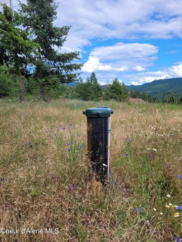 NKA 1A S Skyview Rd, Harrison, ID 83833
