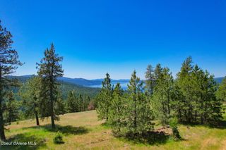 NKA 1A S Skyview Rd, Harrison, ID 83833