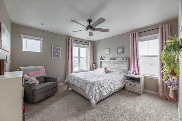 4870 Cattle Cross Lane, Castle Rock, CO 80104
