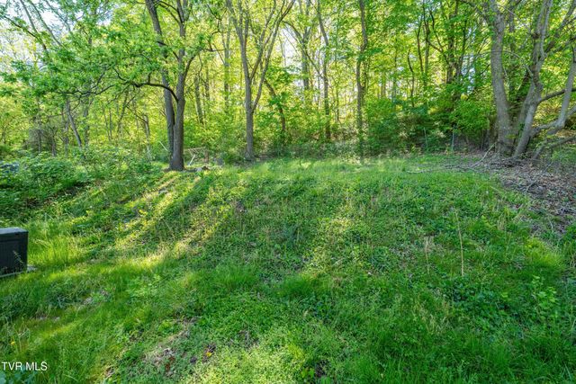 304 East Chestnut Street, Johnson City, TN 37601