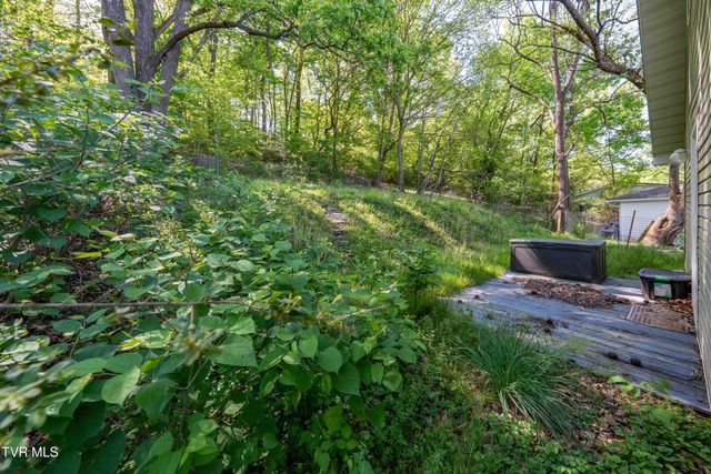 304 East Chestnut Street, Johnson City, TN 37601