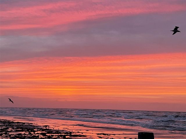 3930 Navarro Drive, Galveston, TX 77554