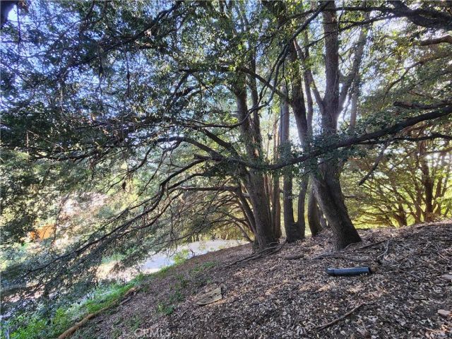 407 Delle, Crestline, CA 92325