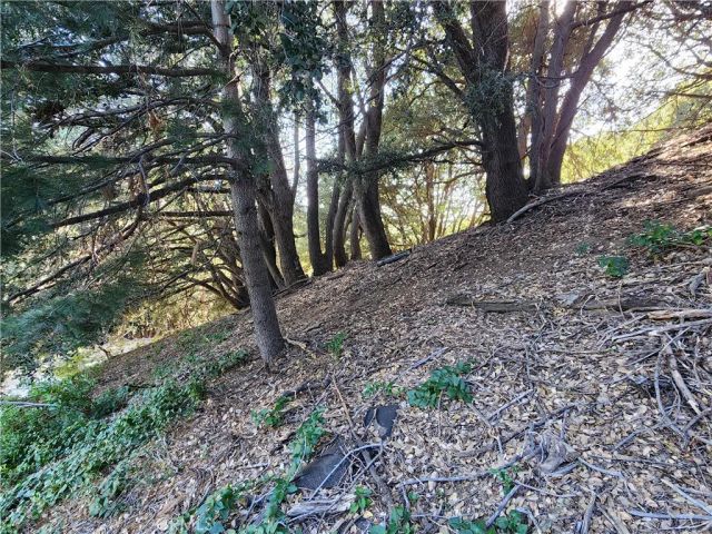 407 Delle, Crestline, CA 92325