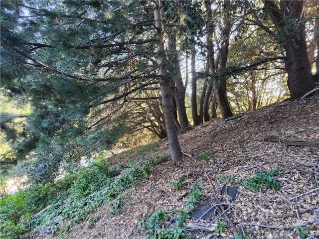 407 Delle, Crestline, CA 92325