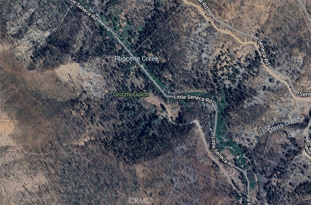 Image 8 of property listing at 0 Seneca, Seneca, CA 95923