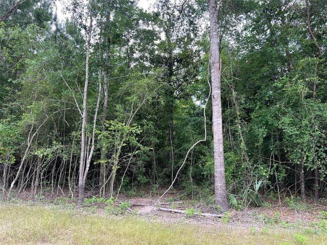 TBD Ellwood Dr, Livingston, TX 77351