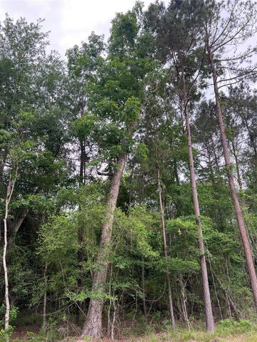 TBD Ellwood Dr, Livingston, TX 77351