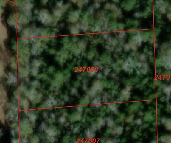 TBD Ellwood Dr, Livingston, TX 77351