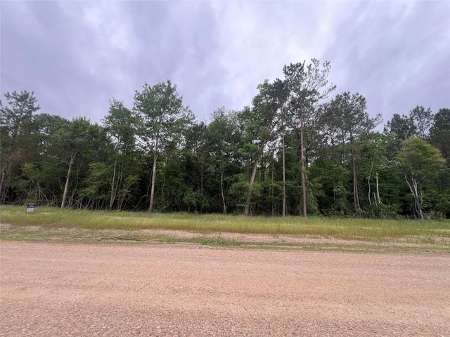 TBD Ellwood Dr, Livingston, TX 77351