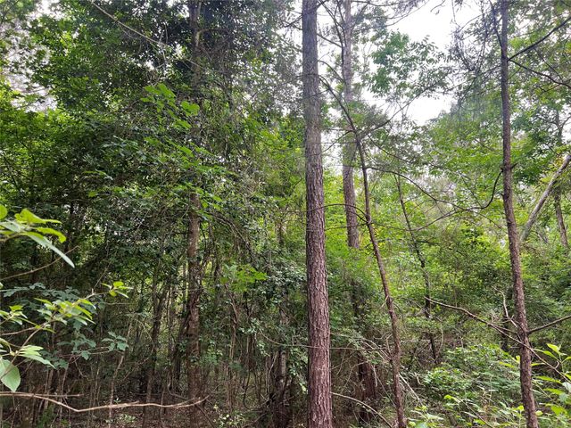 TBD Ellwood Dr, Livingston, TX 77351