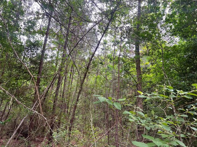 TBD Ellwood Dr, Livingston, TX 77351