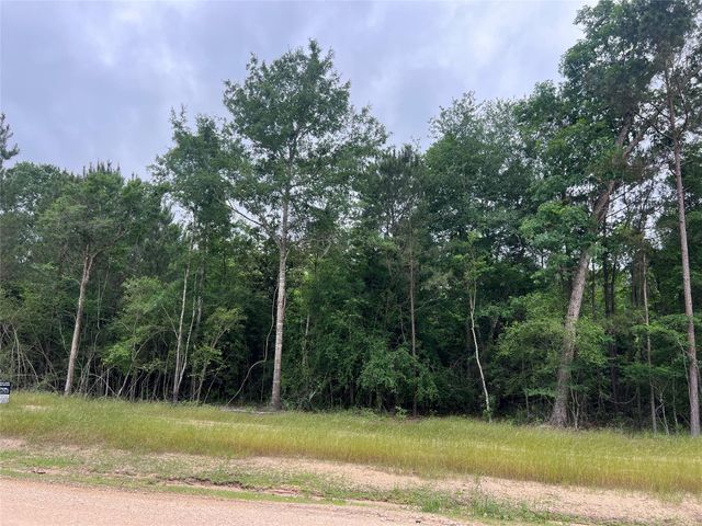 TBD Ellwood Dr, Livingston, TX 77351