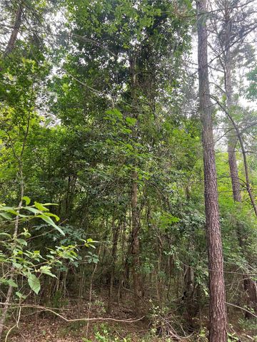 TBD Ellwood Dr, Livingston, TX 77351