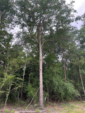 TBD Ellwood Dr, Livingston, TX 77351