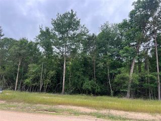 TBD Ellwood Dr, Livingston, TX 77351