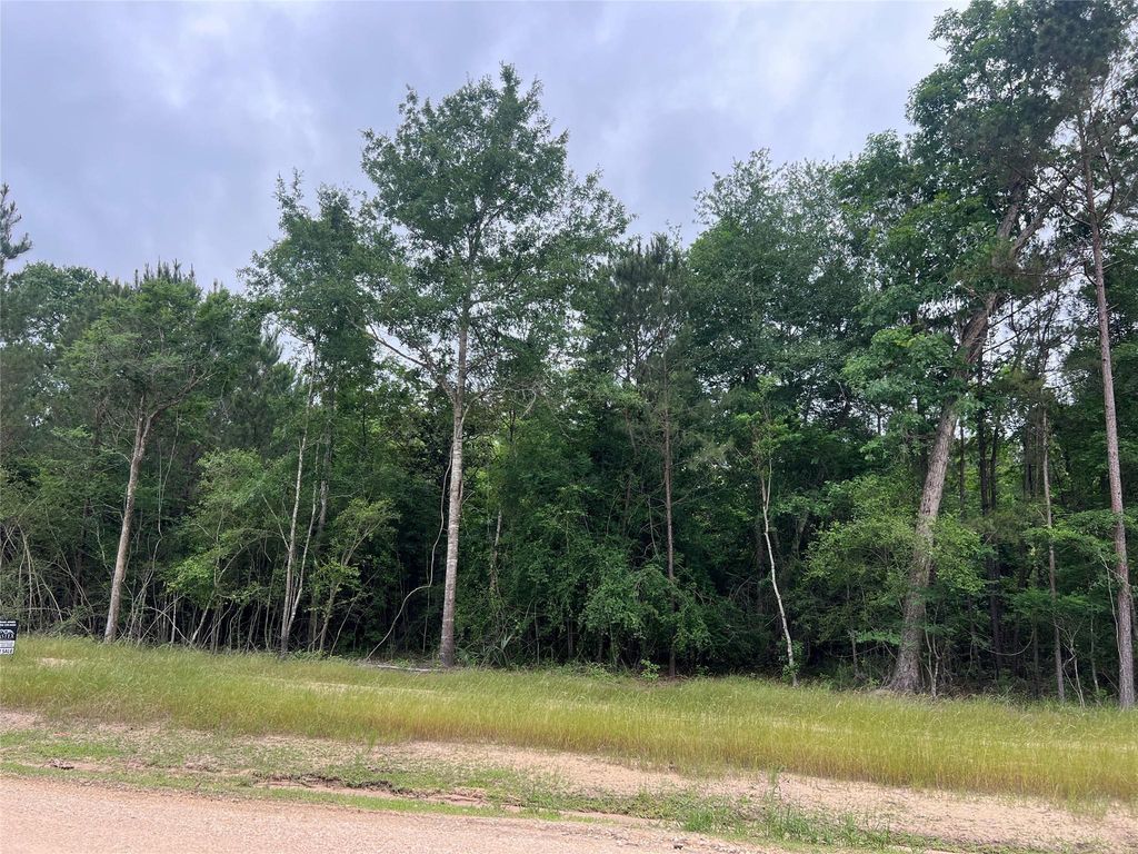 TBD Ellwood Dr, Livingston, TX 77351