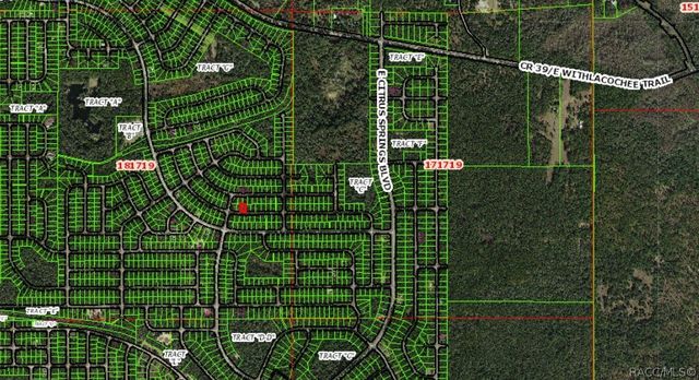 841 E Toledo Drive, Citrus Springs, FL 34434