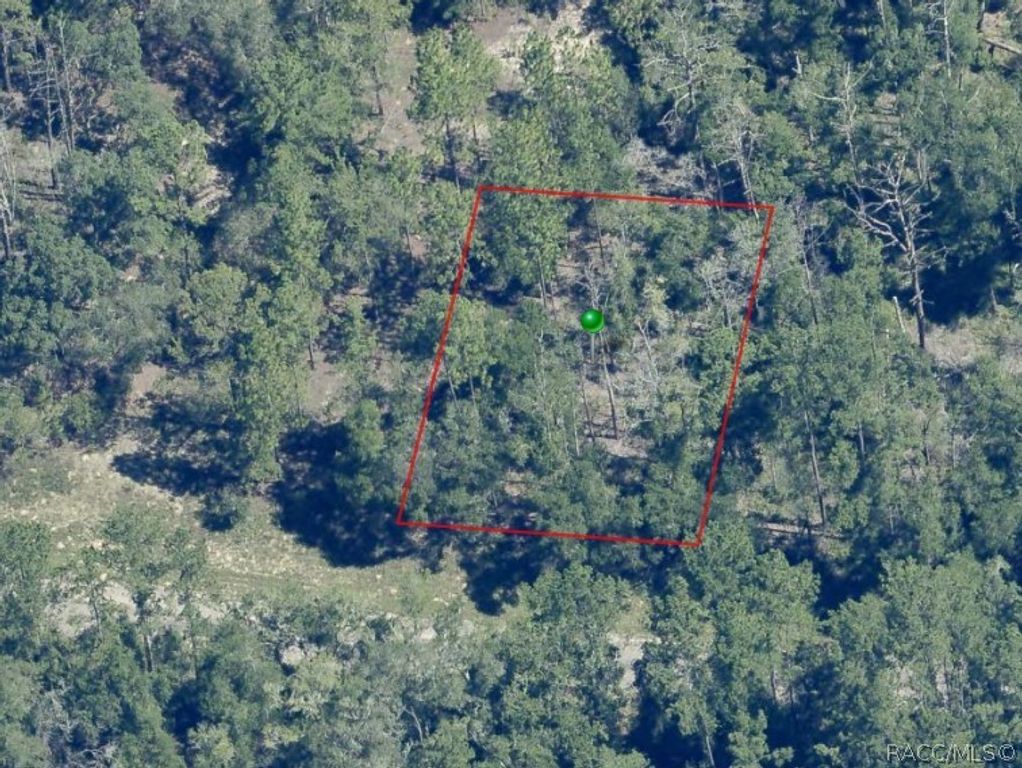 841 E Toledo Drive, Citrus Springs, FL 34434