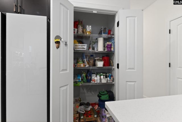 536 Outer Banks Drive, Lexington, SC 29072