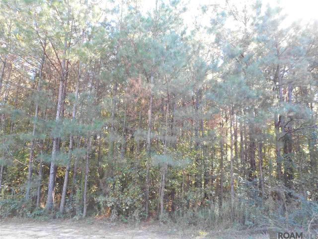 7430-B Lane Rd, Ethel, LA 70730