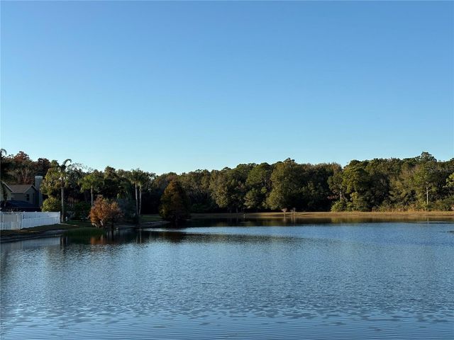 11222 CLAYRIDGE DRIVE, Tampa, FL 33635