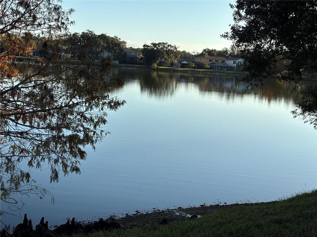 11222 CLAYRIDGE DRIVE, Tampa, FL 33635