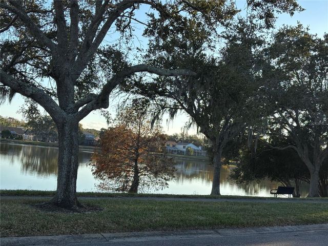 11222 CLAYRIDGE DRIVE, Tampa, FL 33635