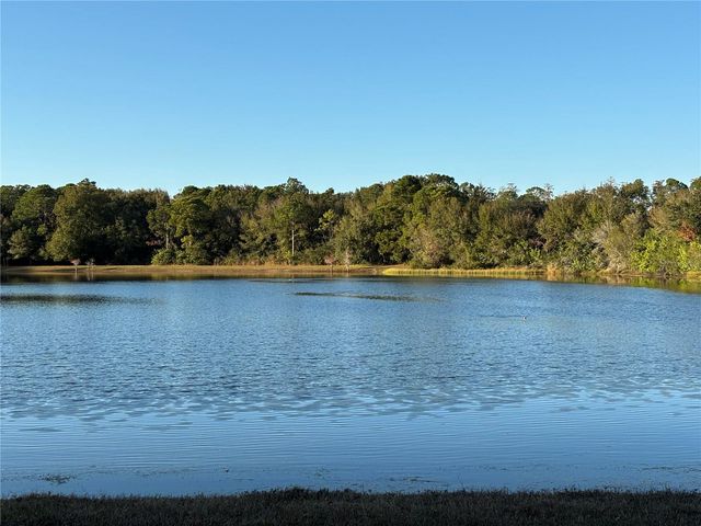 11222 CLAYRIDGE DRIVE, Tampa, FL 33635