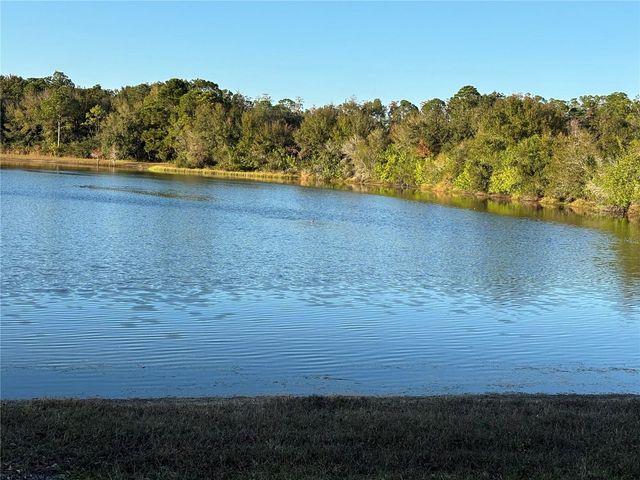 11222 CLAYRIDGE DRIVE, Tampa, FL 33635