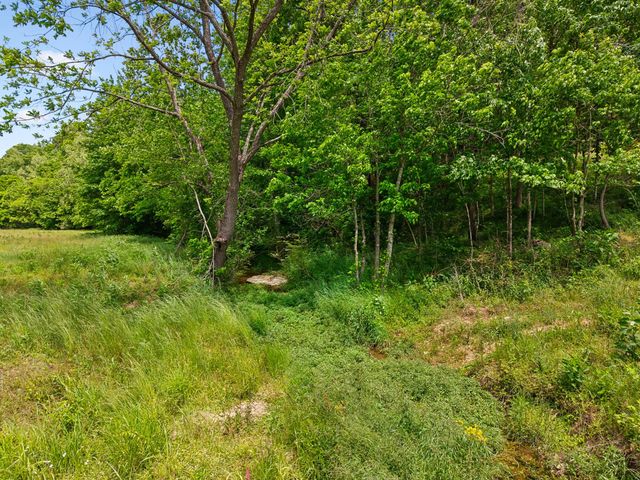 121 Lanier Private Ln, Pulaski, TN 38478