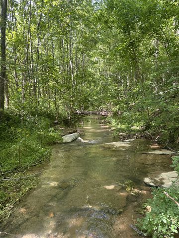 121 Lanier Private Ln, Pulaski, TN 38478