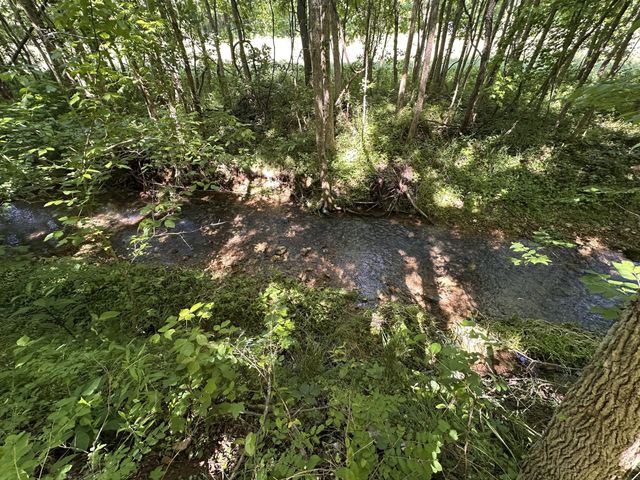 121 Lanier Private Ln, Pulaski, TN 38478