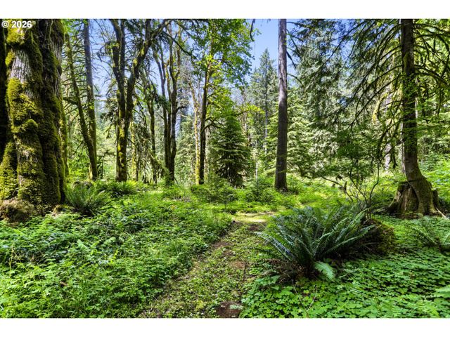 39105 Se GORDON CREEK Rd, Corbett, OR 97019