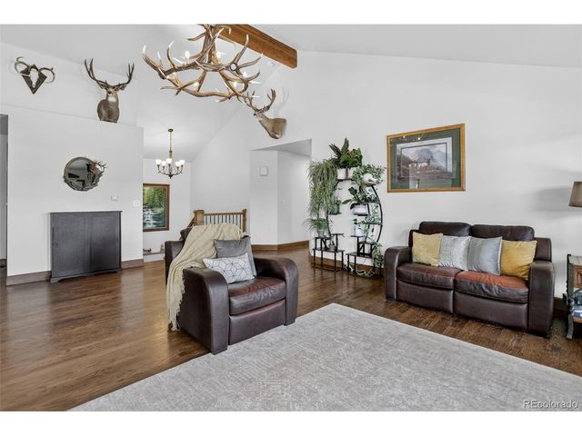 4797 County Road 42, Divide, CO 80814