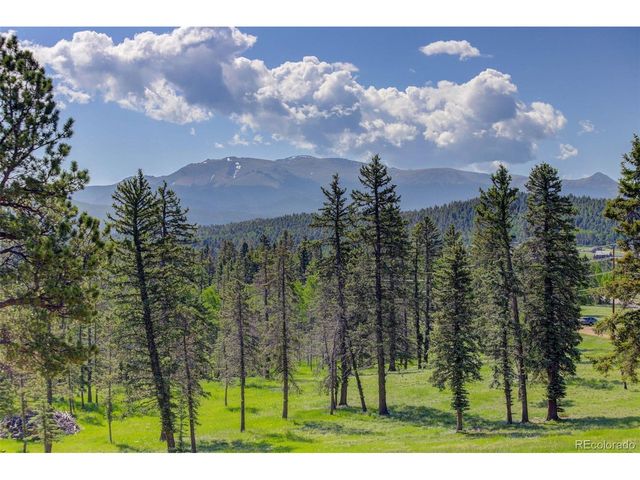 4797 County Road 42, Divide, CO 80814