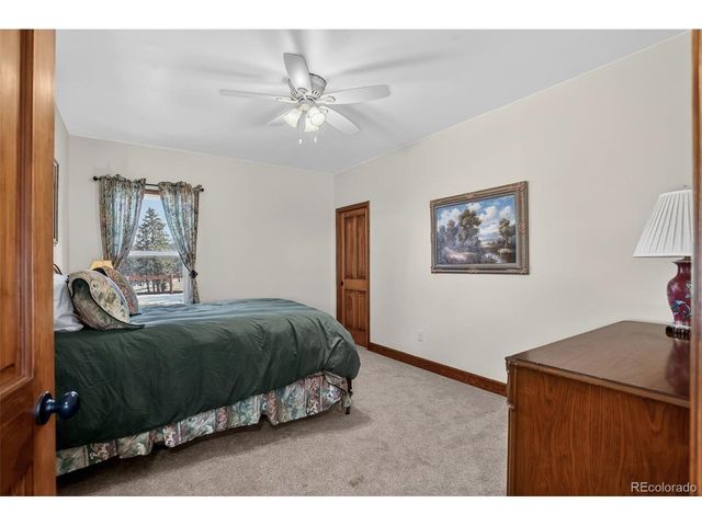 4797 County Road 42, Divide, CO 80814