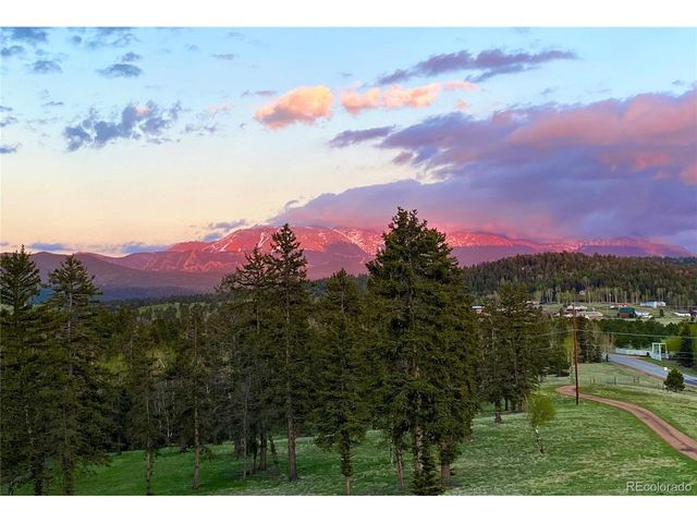 4797 County Road 42, Divide, CO 80814