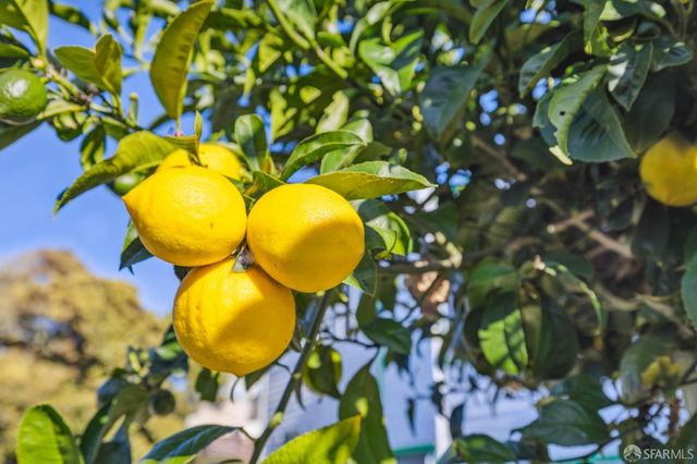 346 Lisbon Street, San Francisco, CA 94112