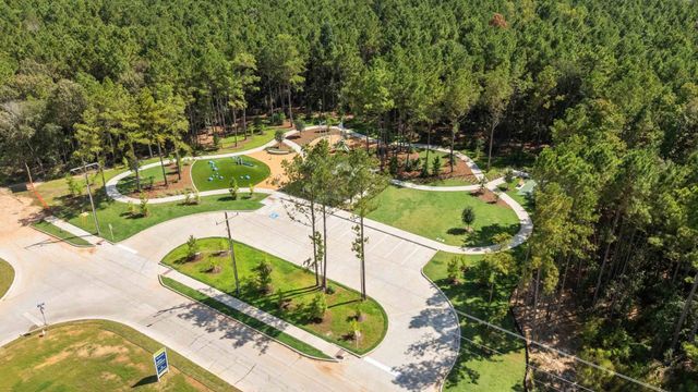 25144 Pomegranate Place, Montgomery, TX 77316